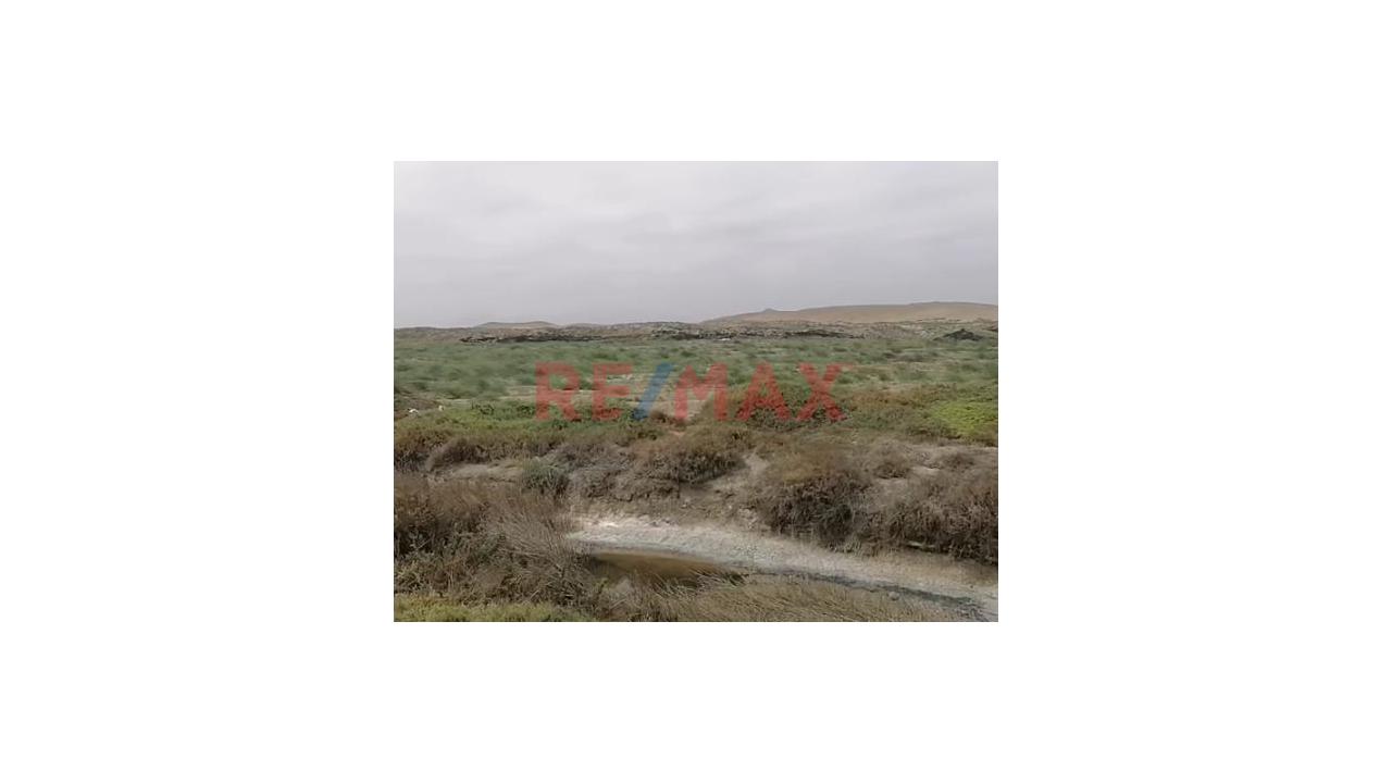 Venta De Remate De 10 Has En Paijan - A 8 Minutos En Carro De La Carretera A Puerto Malabrigo - 2