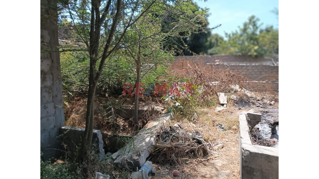 ¡Oportunidad En Casma! Venta De  Terreno De 159 M² Cerca Al Hotel Las Poncianas ☀️ - 2