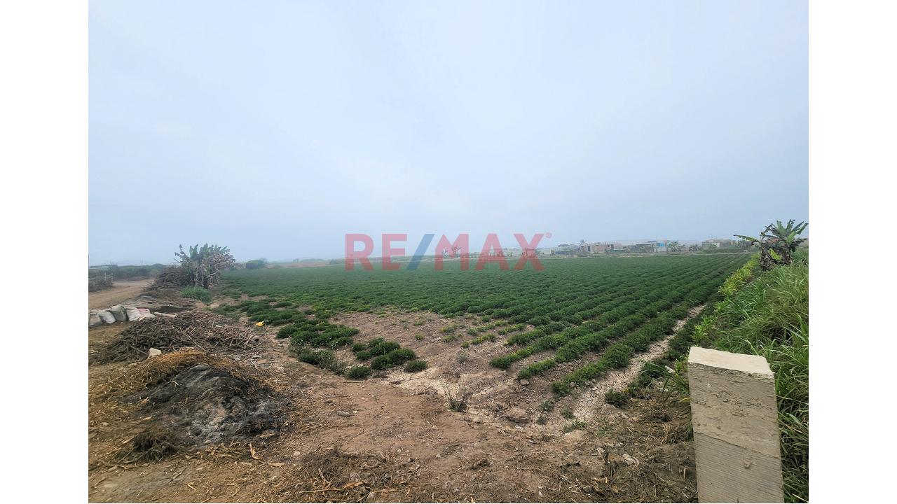 Venta De Terreno De Playa Y Agricola 13,989M2 - Santa Barbara, Valle Cañete — foto 5
