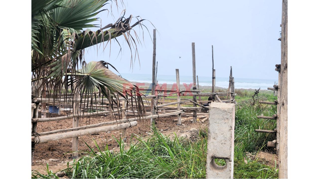 Venta De Terreno De Playa Y Agricola 13,989M2 - Santa Barbara, Valle Cañete — foto 4