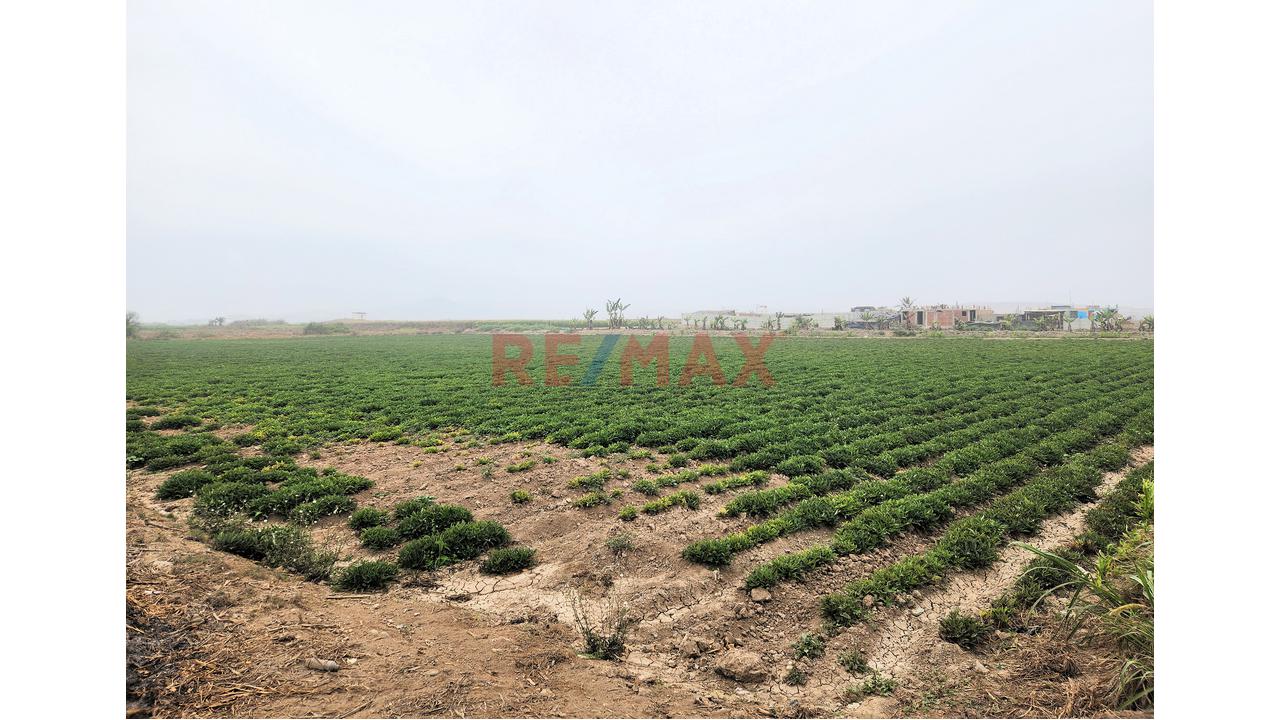 Venta De Terreno De Playa Y Agricola 13,989M2 - Santa Barbara, Valle Cañete — foto 8
