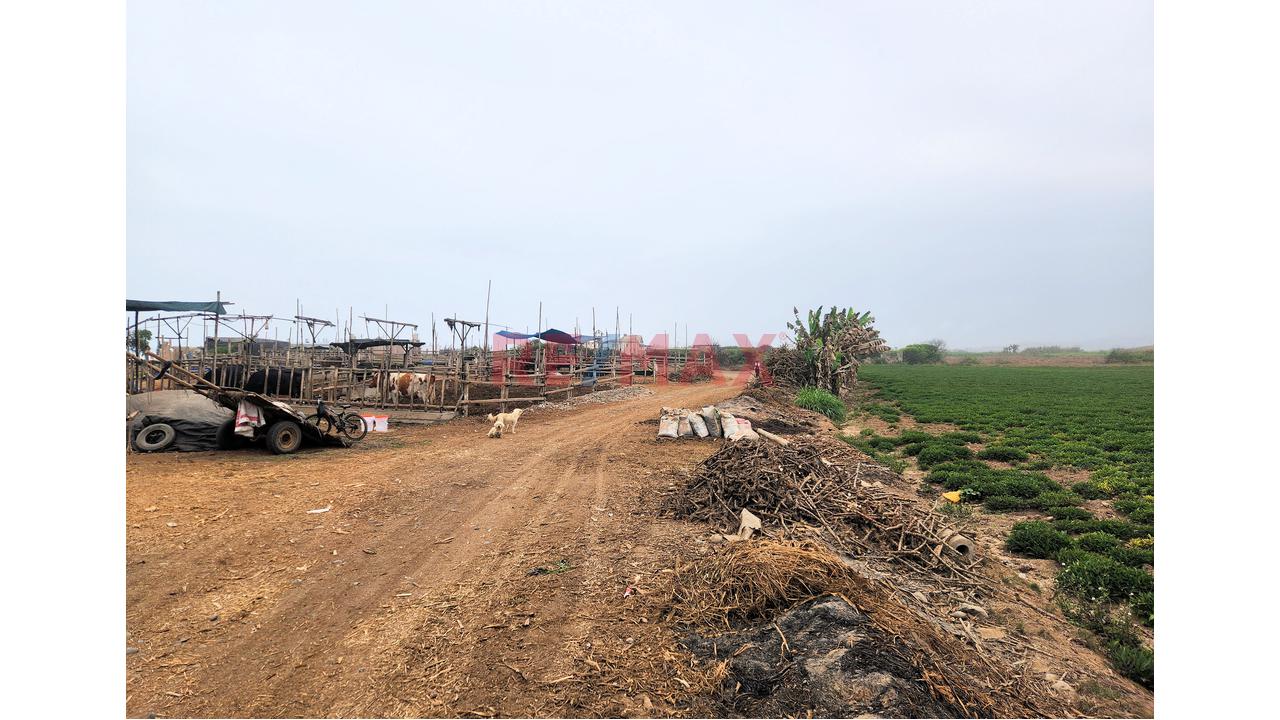 Venta De Terreno De Playa Y Agricola 13,989M2 - Santa Barbara, Valle Cañete — foto 2