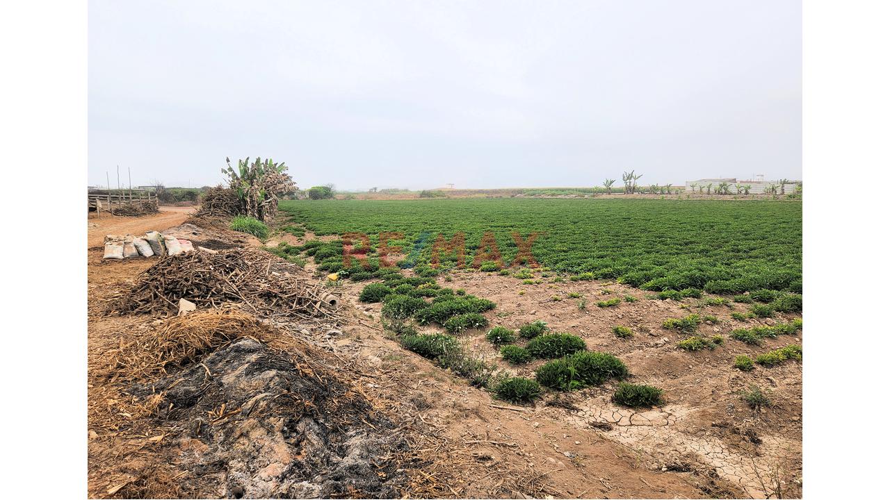 Venta De Terreno De Playa Y Agricola 13,989M2 - Santa Barbara, Valle Cañete — foto 7