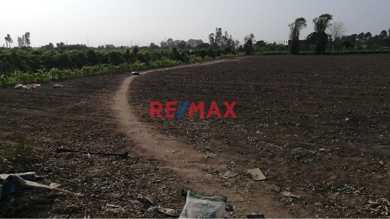 Venta De Terreno Rural Sector Retes En Huaral 0.2013Ha - 2