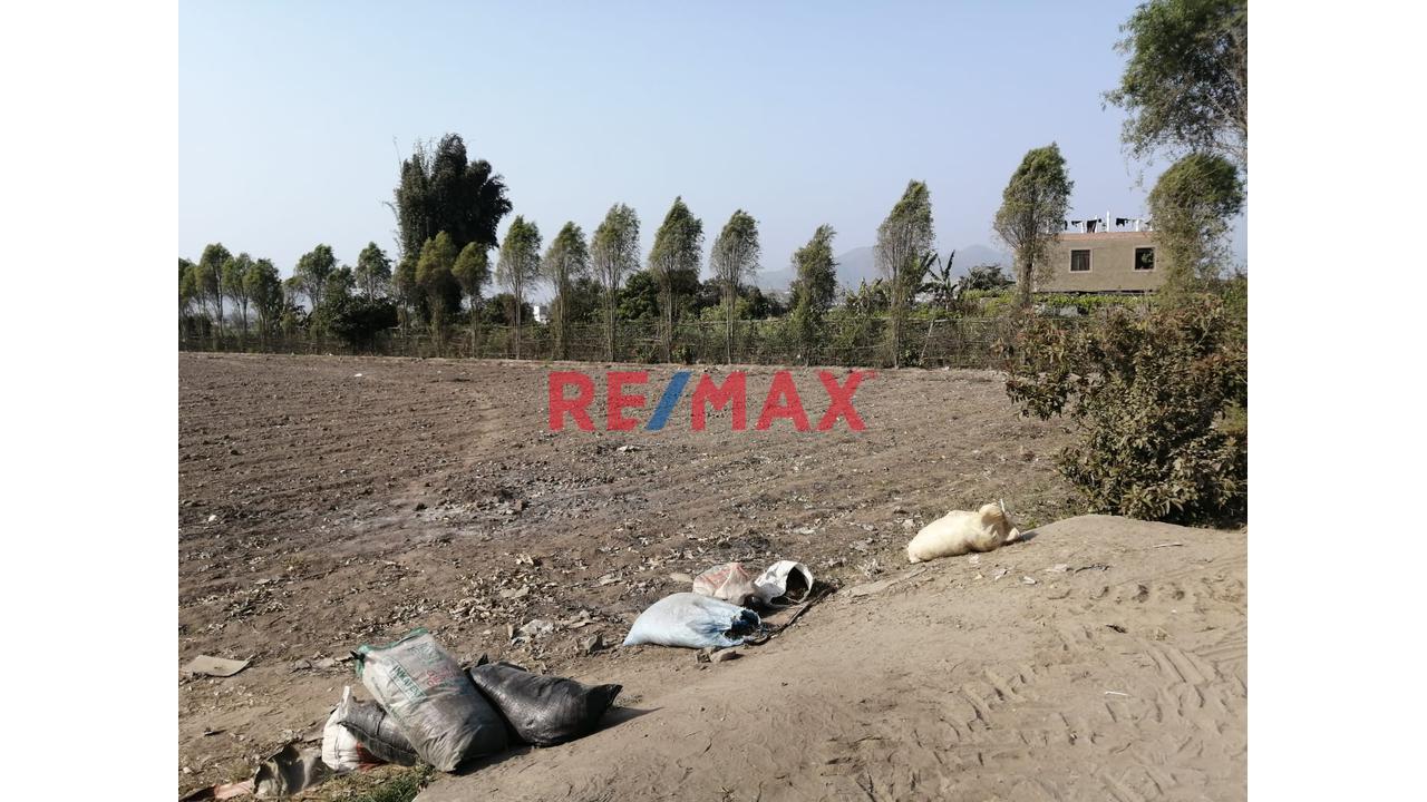 Venta De Terreno Rural Sector Retes En Huaral 0.2013Ha - 5