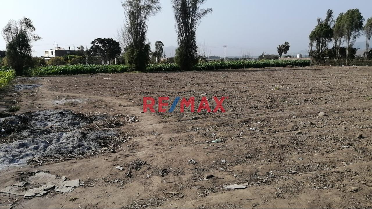 Venta De Terreno Rural Sector Retes En Huaral 0.2013Ha - 6