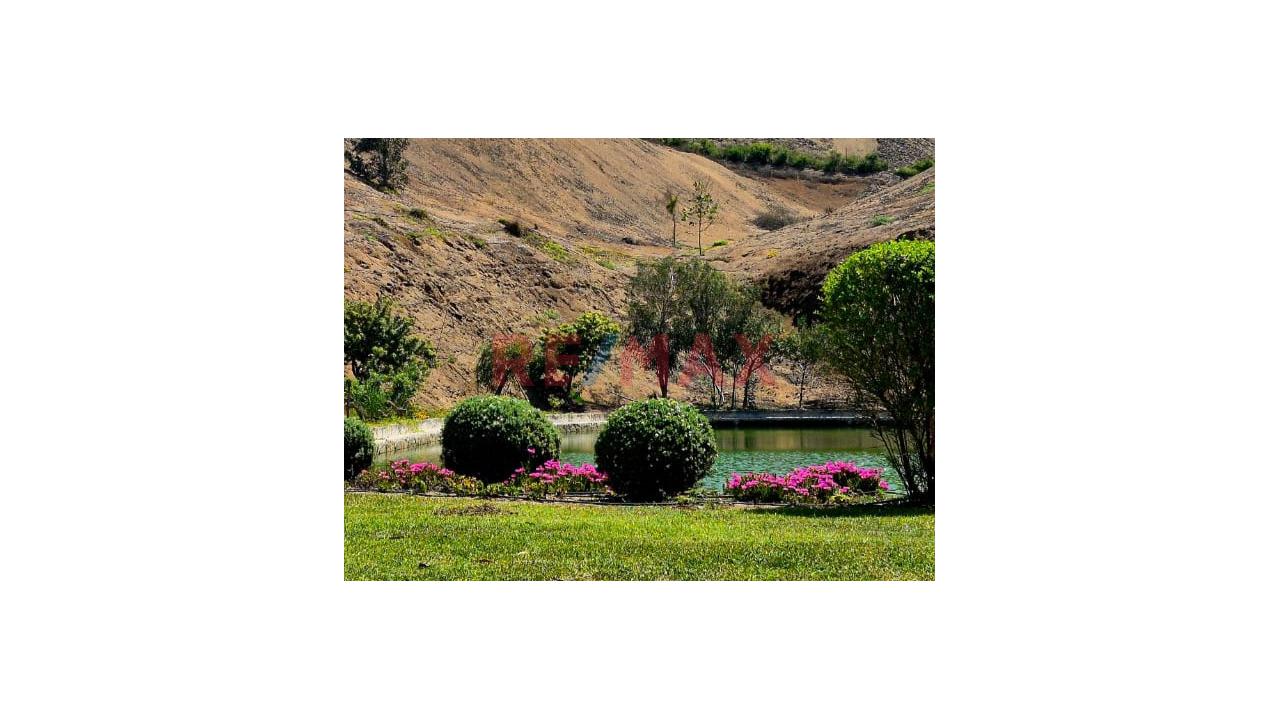 Se Vende Terreno En Condominio Exclusivo Nuevo Polo – San Antonio, Cañete 🌿☀️ - 12
