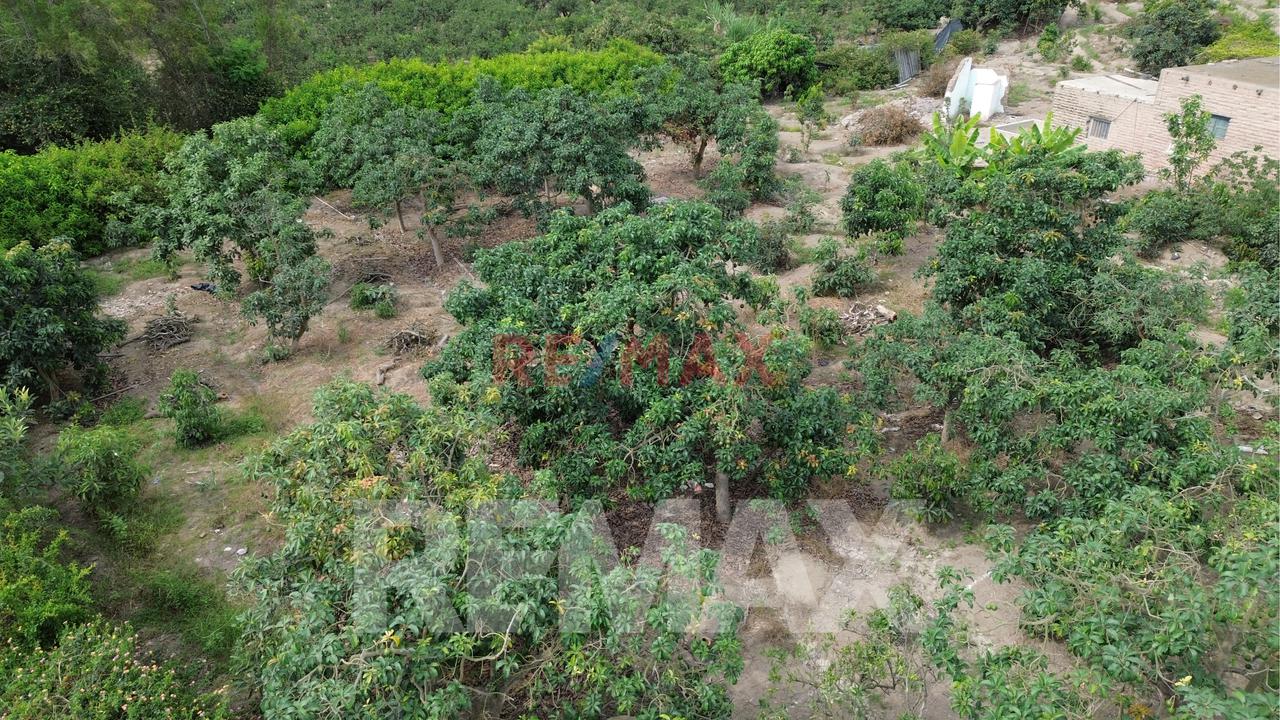 Venta De Terreno Agrícola De 1000 M² En Venta – Huaral — foto 12