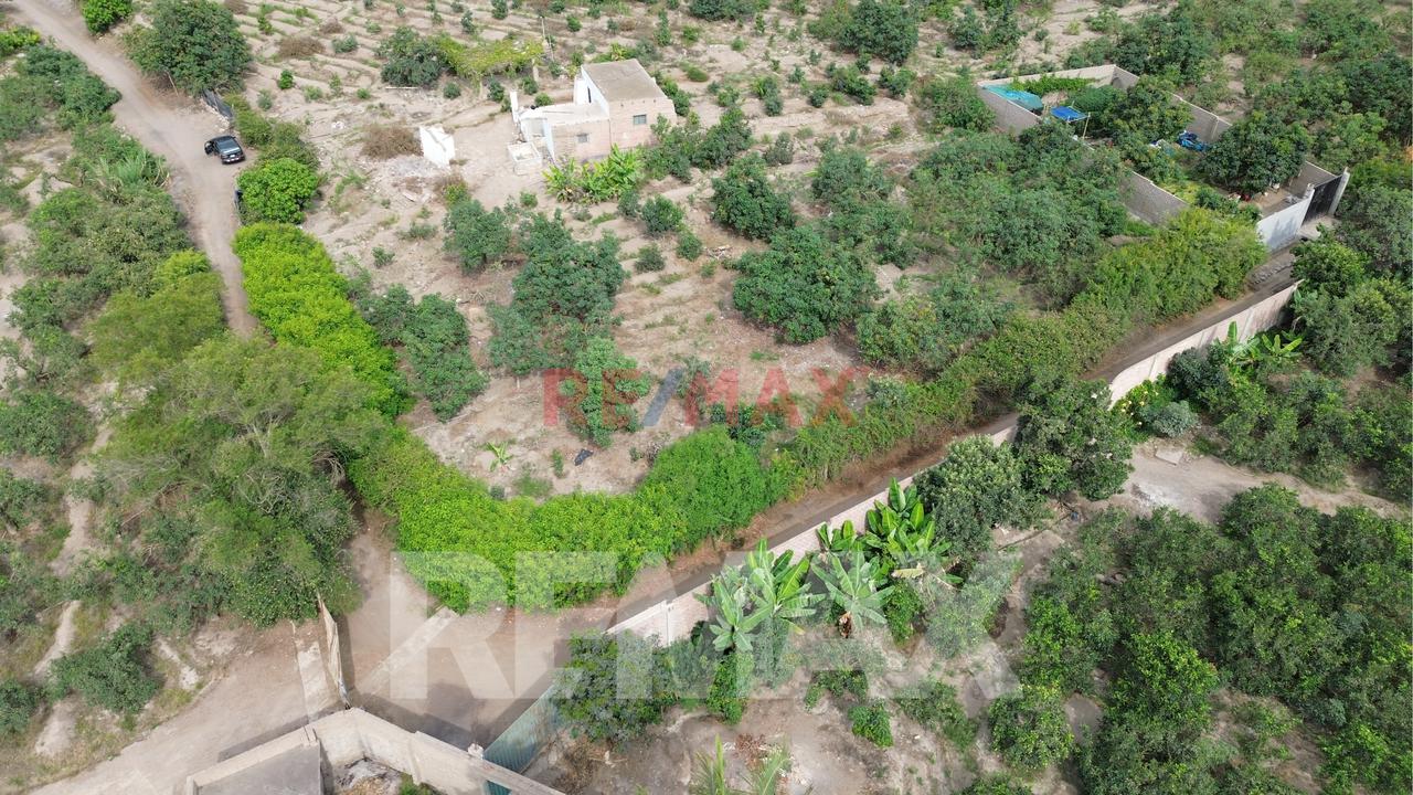 Venta De Terreno Agrícola De 1000 M² En Venta – Huaral — foto 7