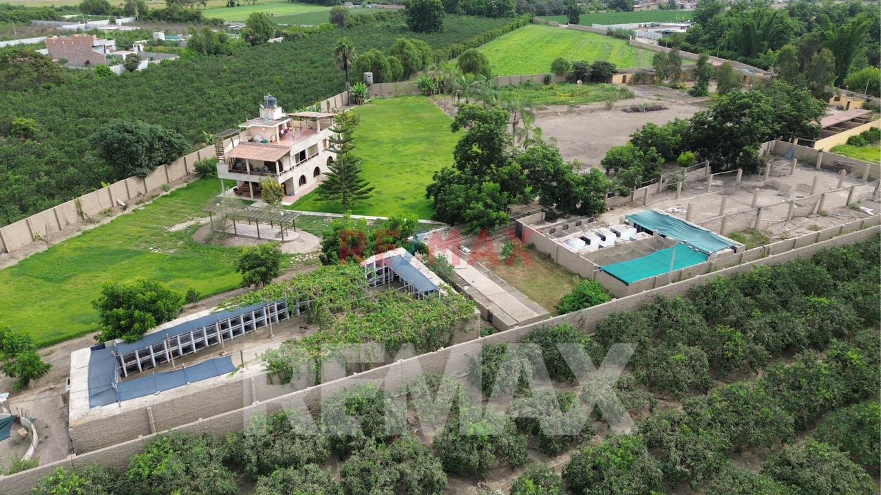 Venta De Terreno Agrícola De 1000 M² En Venta – Huaral — foto 13