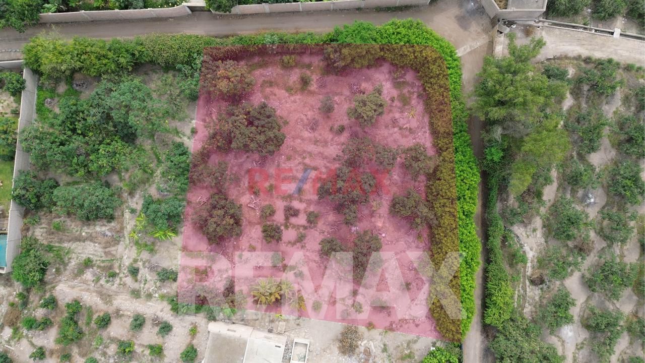Venta De Terreno Agrícola De 1000 M² En Venta – Huaral — foto 3