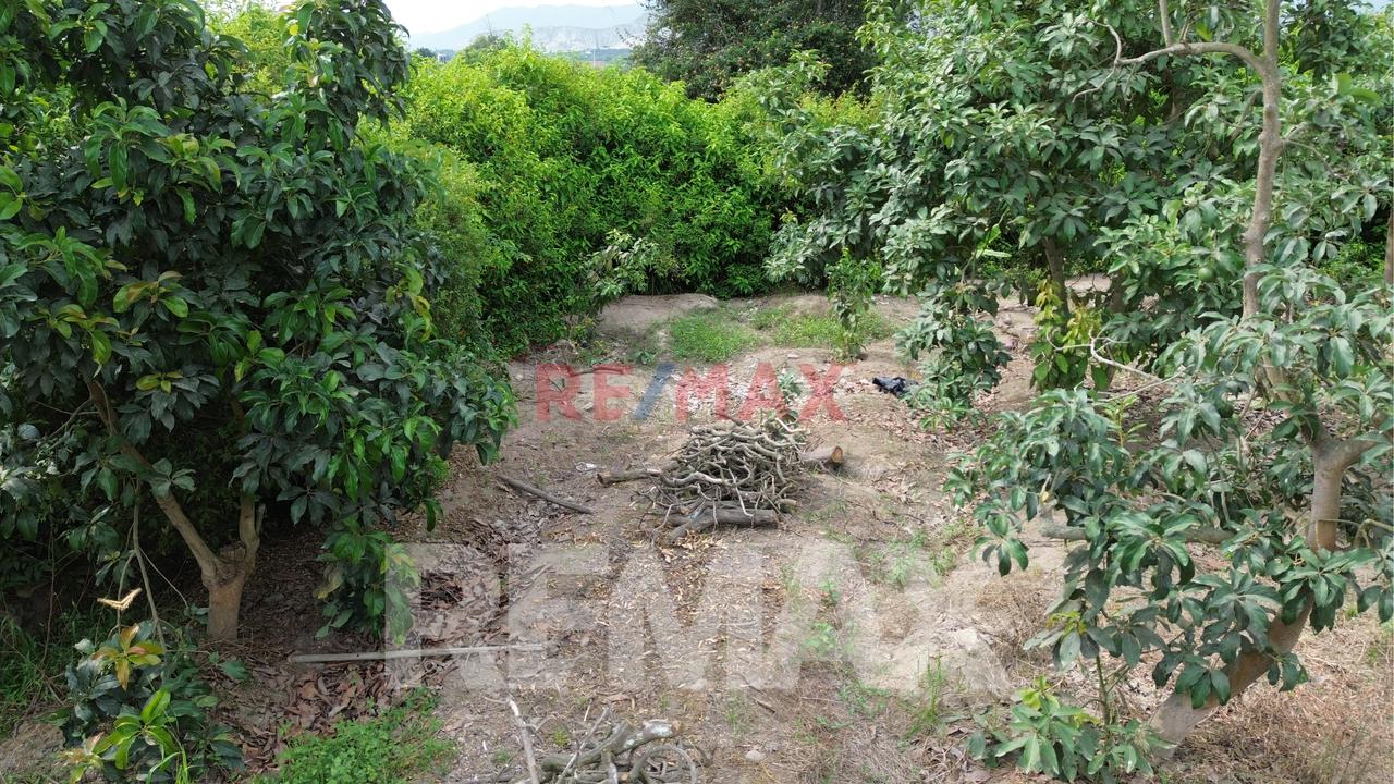 Venta De Terreno Agrícola De 1000 M² En Venta – Huaral — foto 8