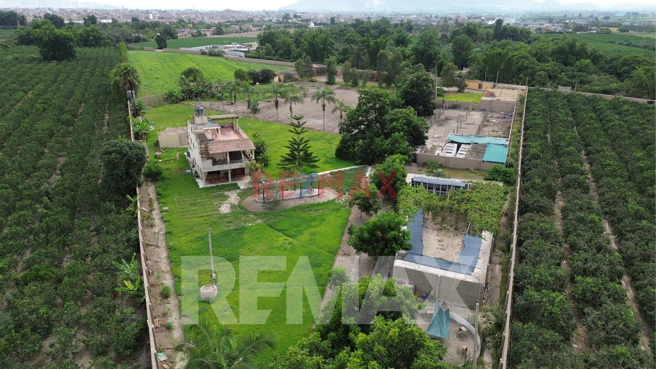 Venta De Terreno Agrícola De 1000 M² En Venta – Huaral — foto 9