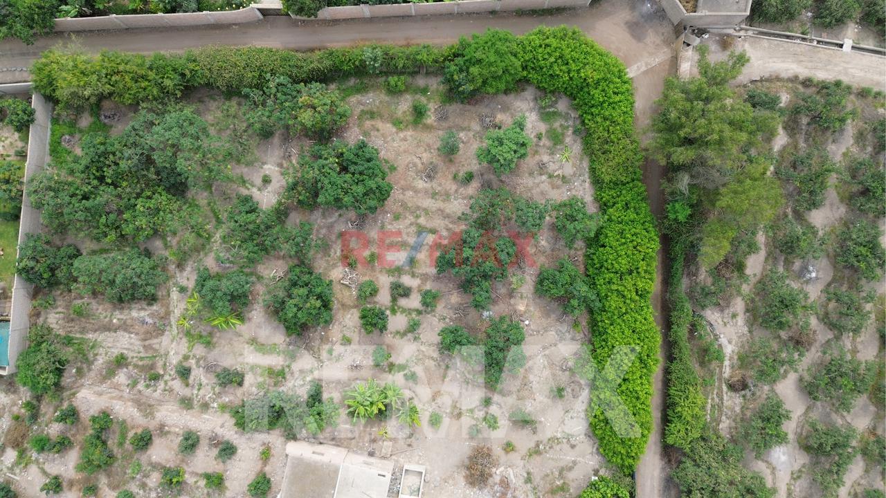 Venta De Terreno Agrícola De 1000 M² En Venta – Huaral — foto 5