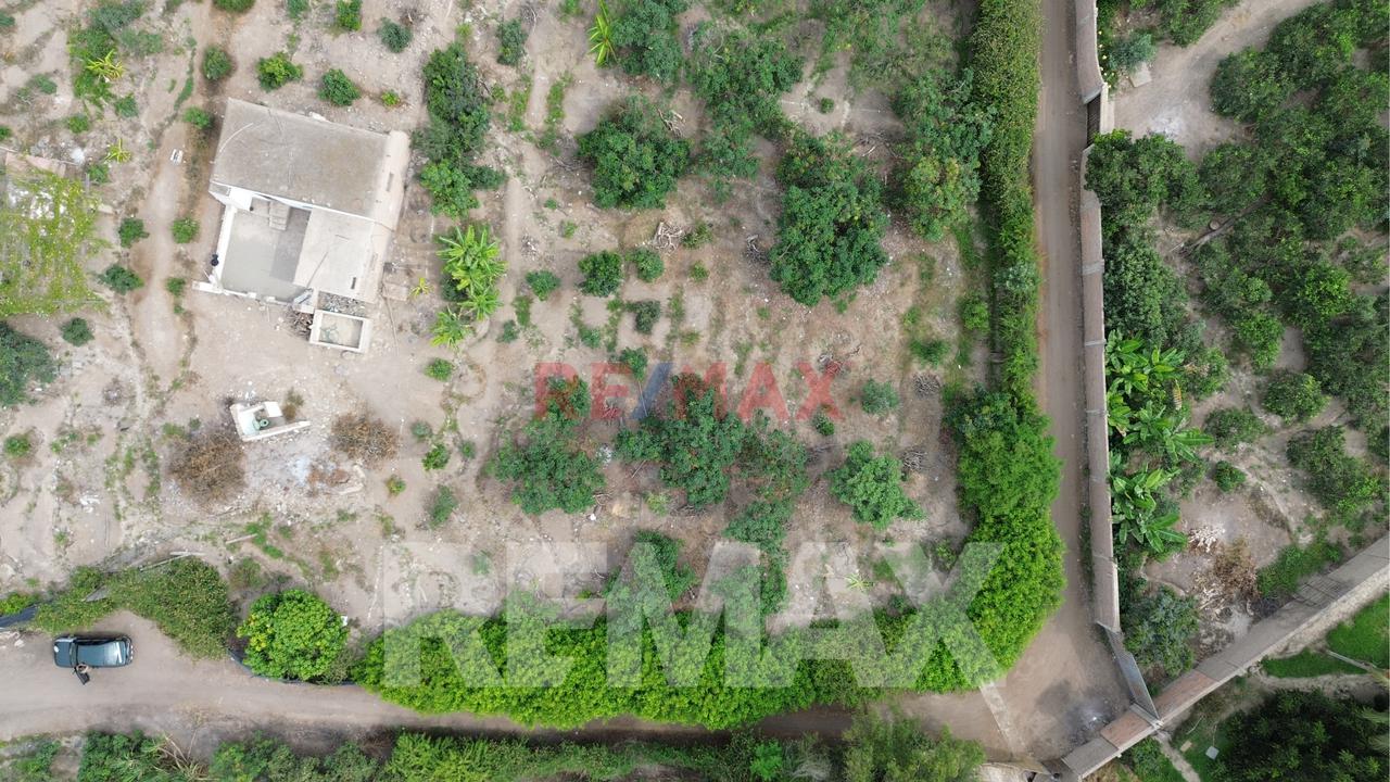 Venta De Terreno Agrícola De 1000 M² En Venta – Huaral — foto 6