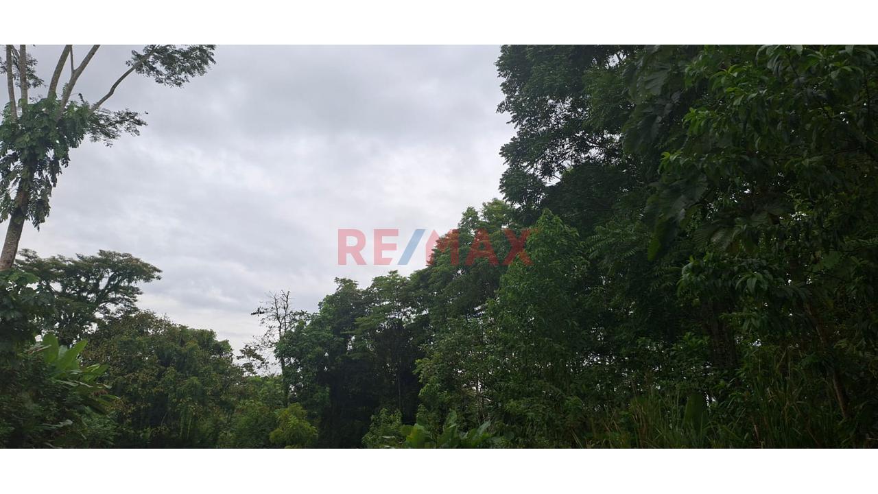 Terrenos En Venta – Zona Turística De Naranjillo, Tingo María -Huanuco - 8