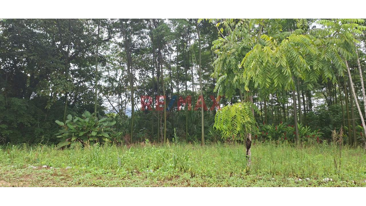 Terrenos En Venta – Zona Turística De Naranjillo, Tingo María -Huanuco - 20