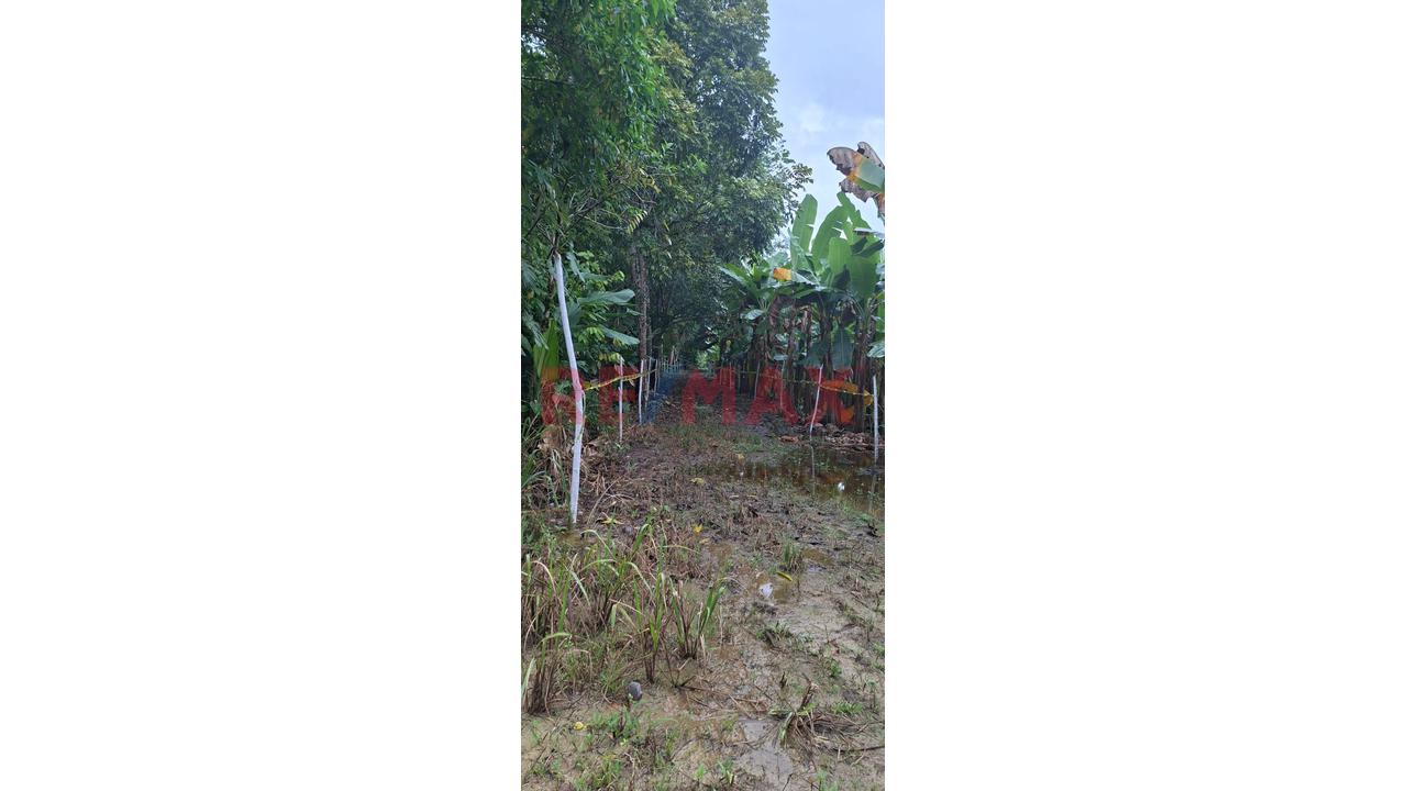 Terrenos En Venta – Zona Turística De Naranjillo, Tingo María -Huanuco - 15