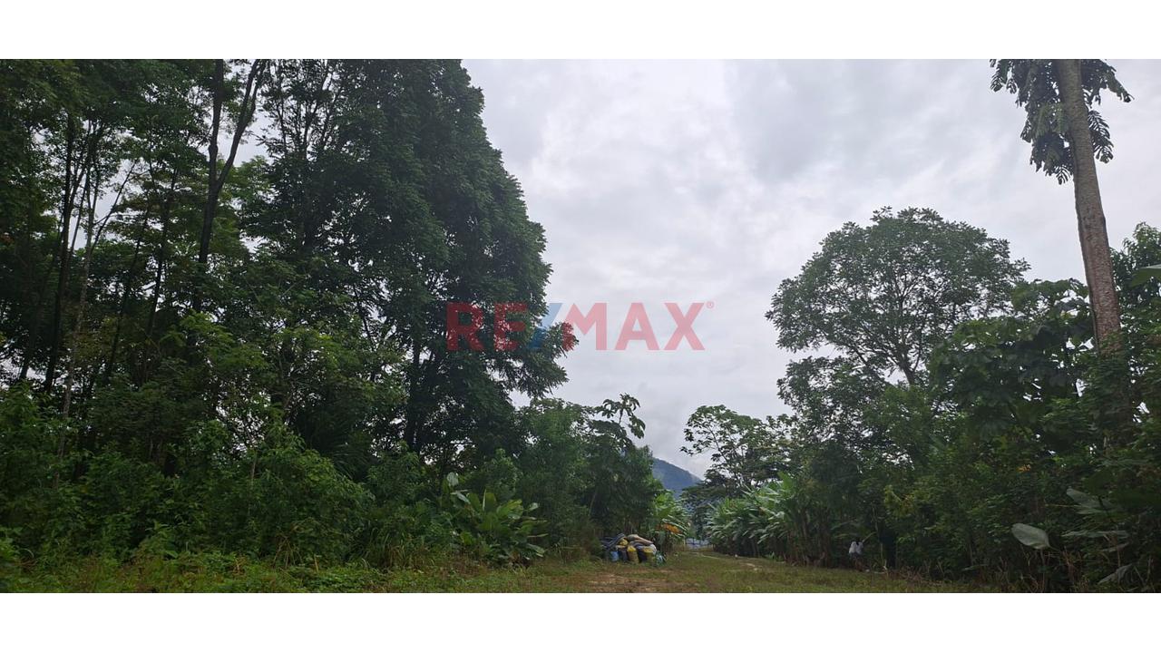 Terrenos En Venta – Zona Turística De Naranjillo, Tingo María -Huanuco - 18