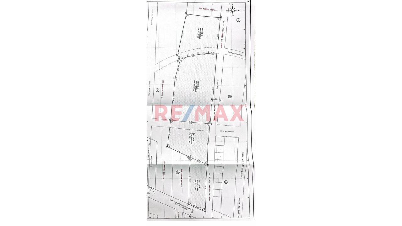 Terrenos En Venta – Zona Turística De Naranjillo, Tingo María -Huanuco - 3