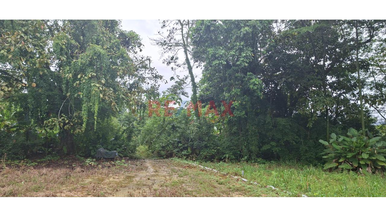 Terrenos En Venta – Zona Turística De Naranjillo, Tingo María -Huanuco - 21