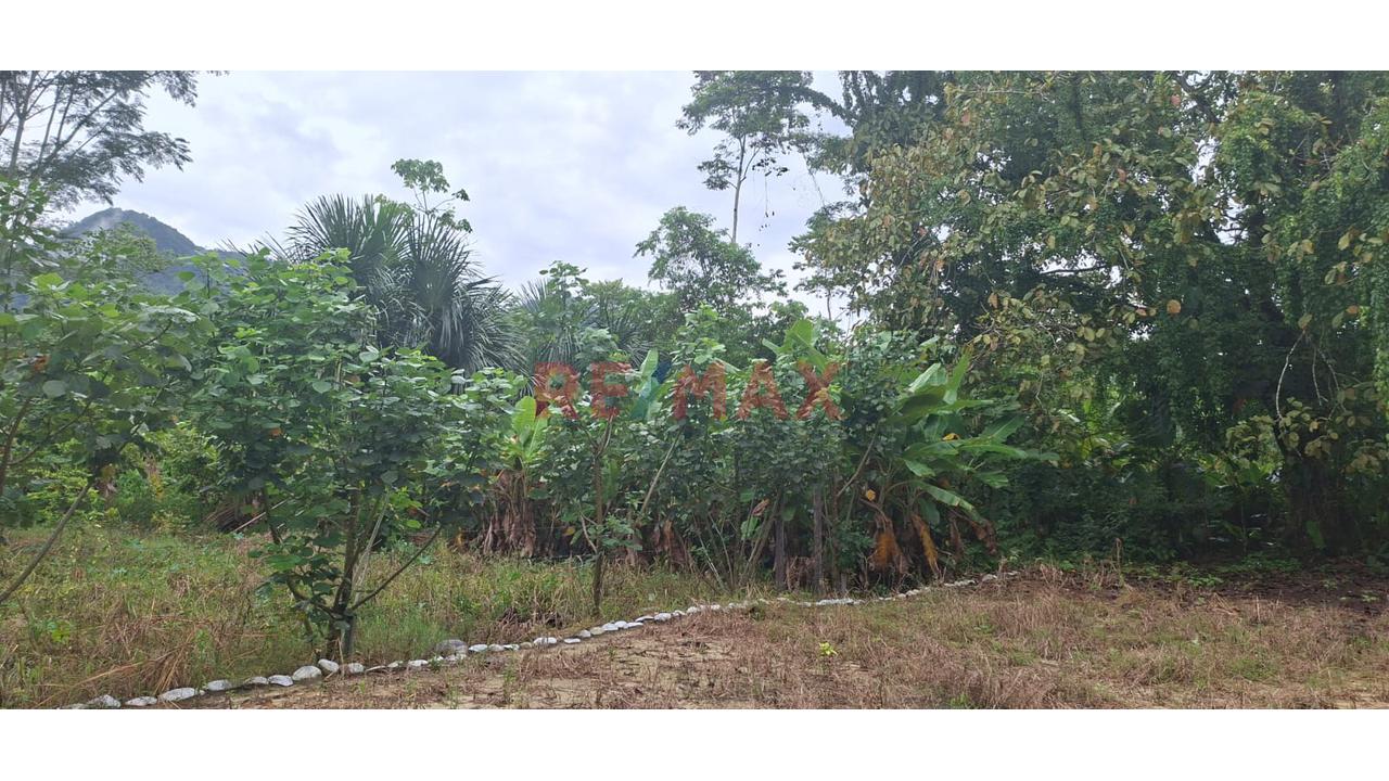 Terrenos En Venta – Zona Turística De Naranjillo, Tingo María -Huanuco - 1