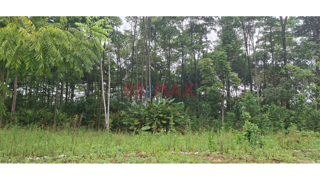 Terrenos En Venta – Zona Turística De Naranjillo, Tingo María -Huanuco - 19
