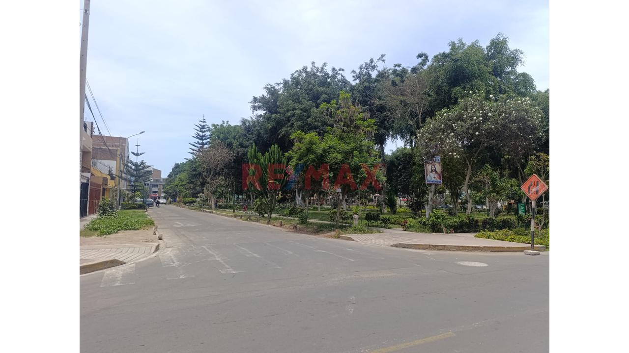 Amplio Departamento De 107 M² Frente A Parque – Los Olivos - 14