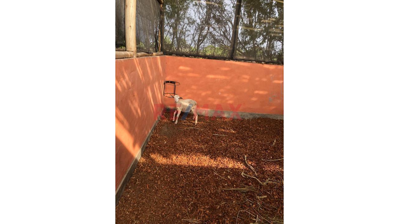"Oportunidad En Cañete: Amplio Terreno En Condominio Alquería - Ideal Para Casa De Campo" — foto 7