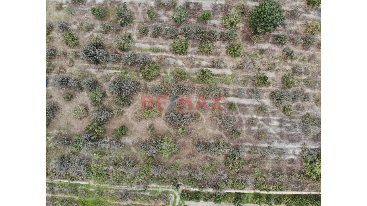 Se Vende Terreno En Azpitia - 3