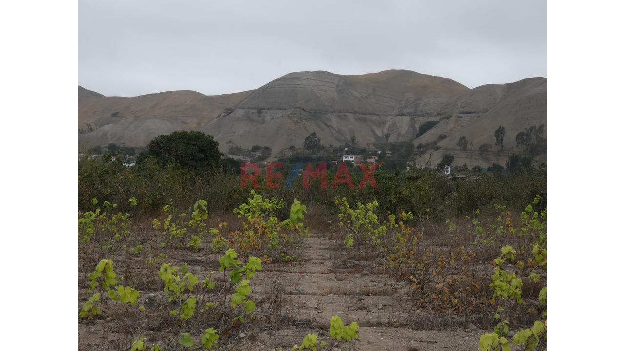 Se Vende Terreno En Azpitia - 6