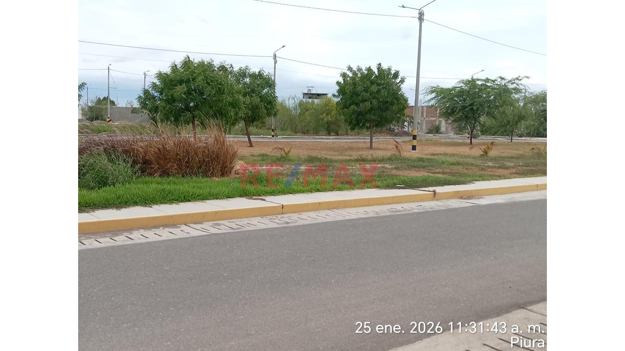 El Terreno En Esquina Que Esperabas Encontrar En La Urb. Las Palmeras - 3