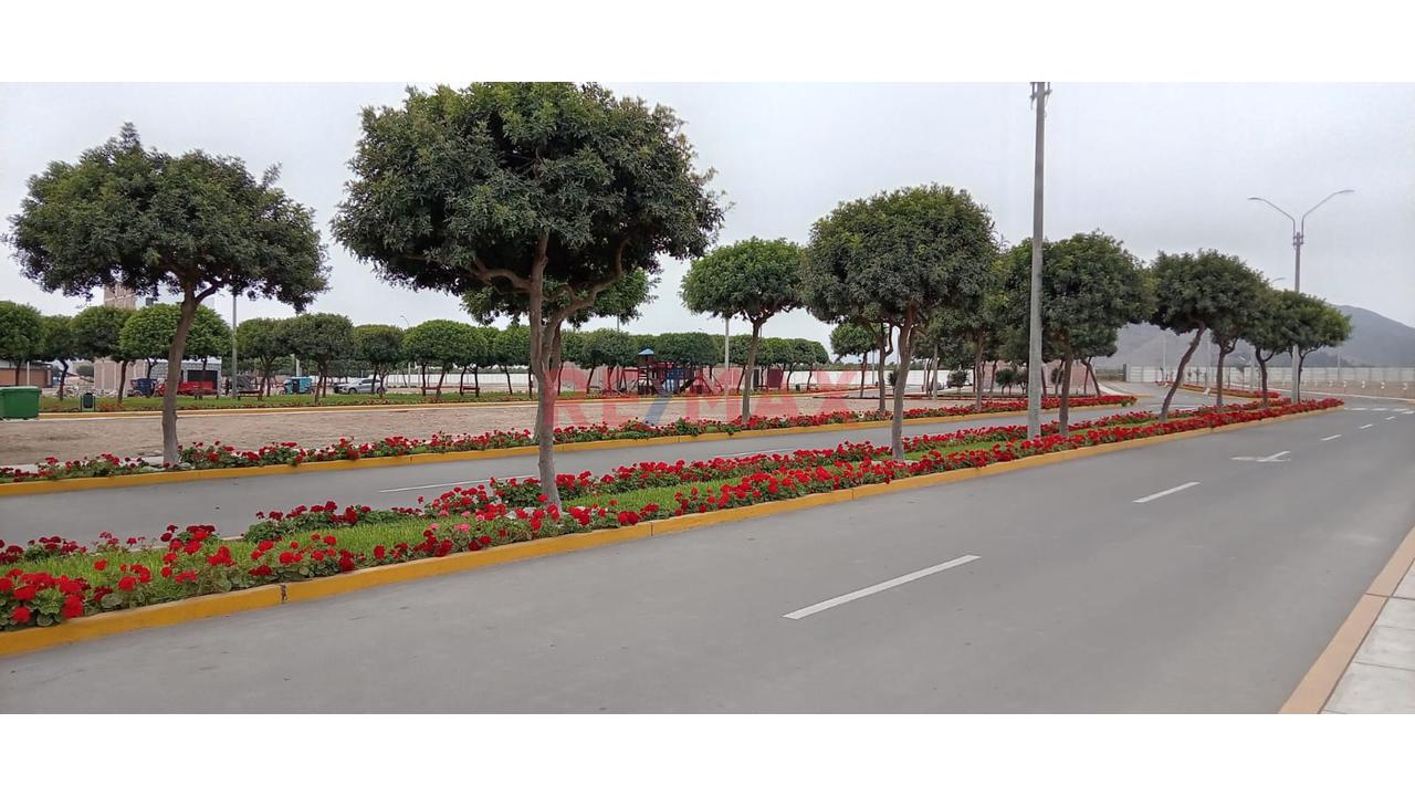 Remato Lote Urbanizado– 90 M2 Residencial Santa Patricia | Huaral - 3