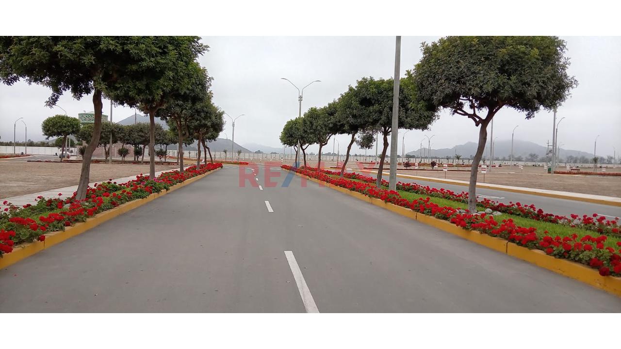 Remato Lote Urbanizado– 90 M2 Residencial Santa Patricia | Huaral - 4