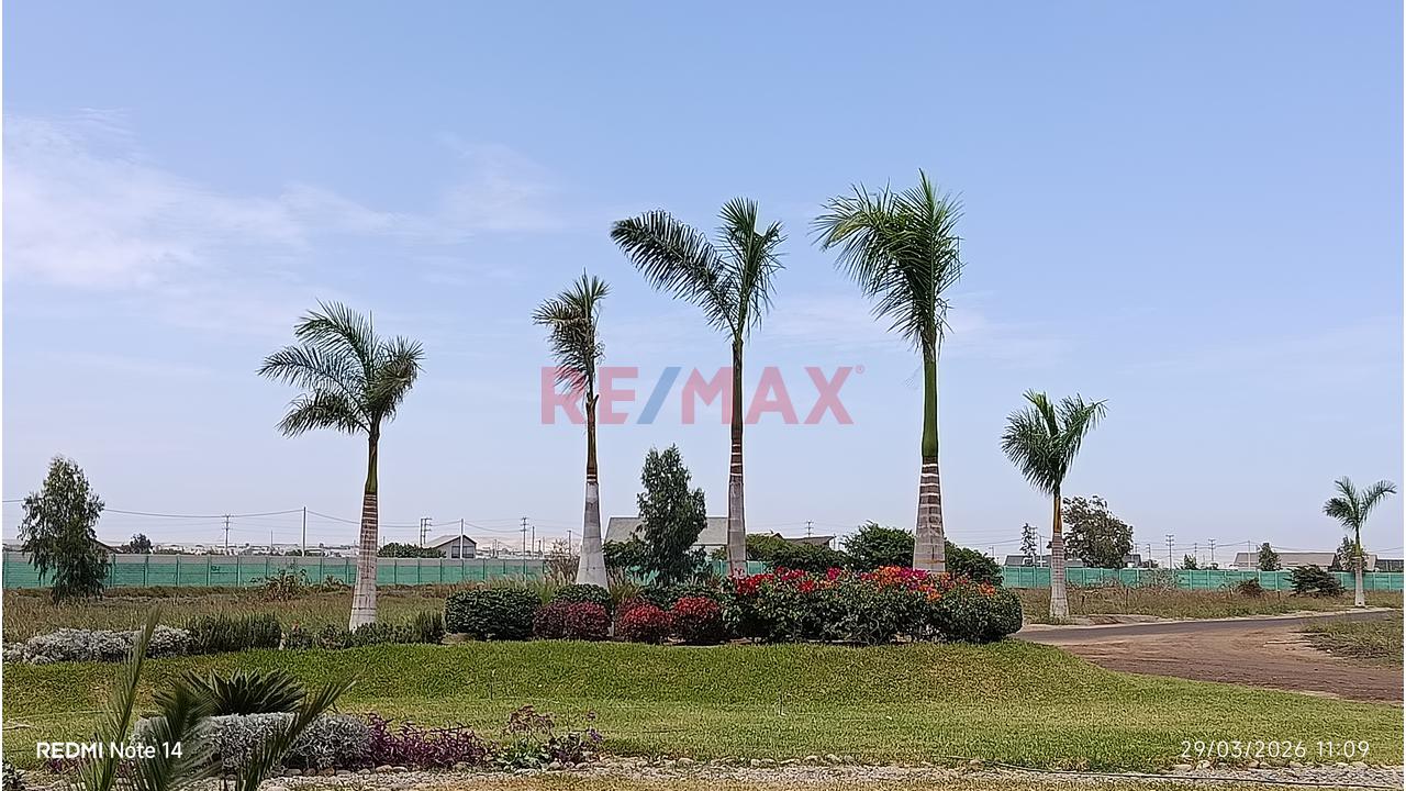 Venta De Terreno En Condominio Lagunas Del Carmen - Chincha - 12