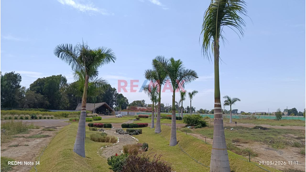 Venta De Terreno En Condominio Lagunas Del Carmen - Chincha - 13