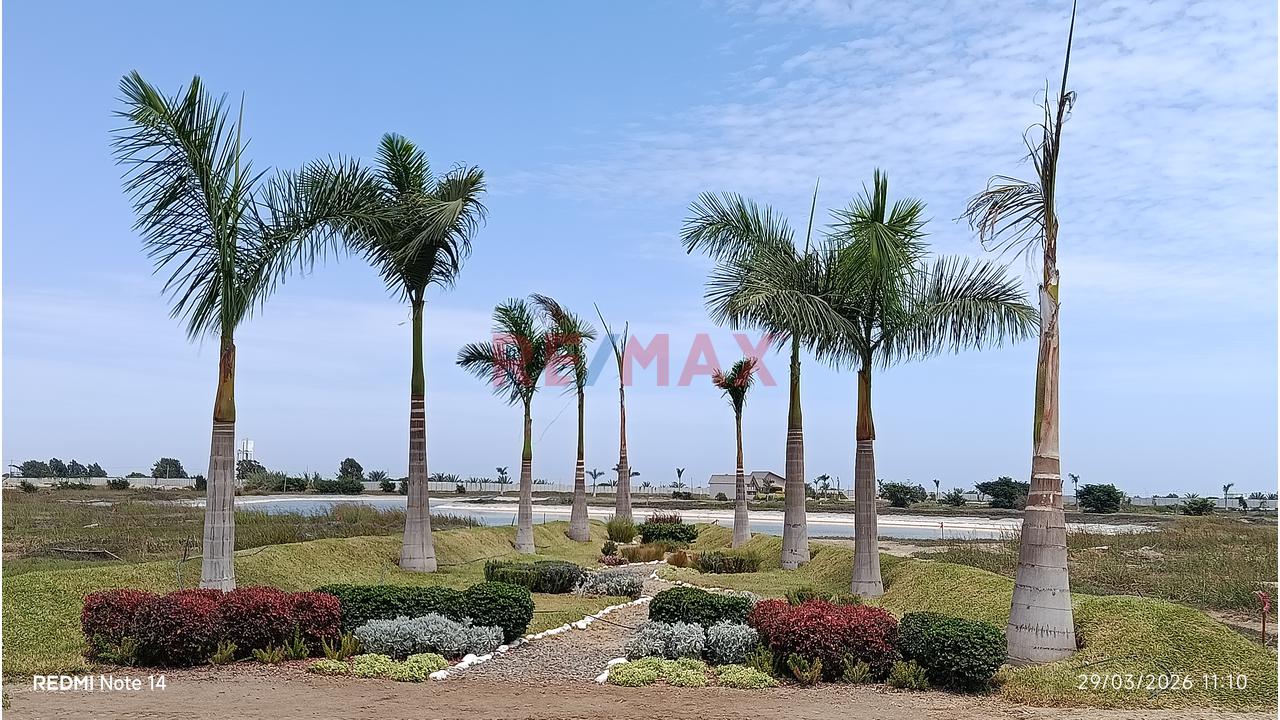 Venta De Terreno En Condominio Lagunas Del Carmen - Chincha - 10
