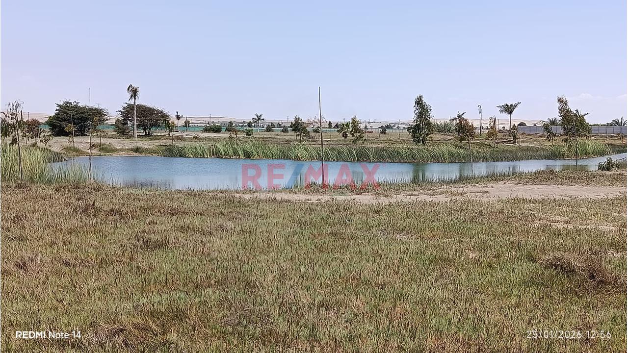 Venta De Terreno En Condominio Lagunas Del Carmen - Chincha - 6