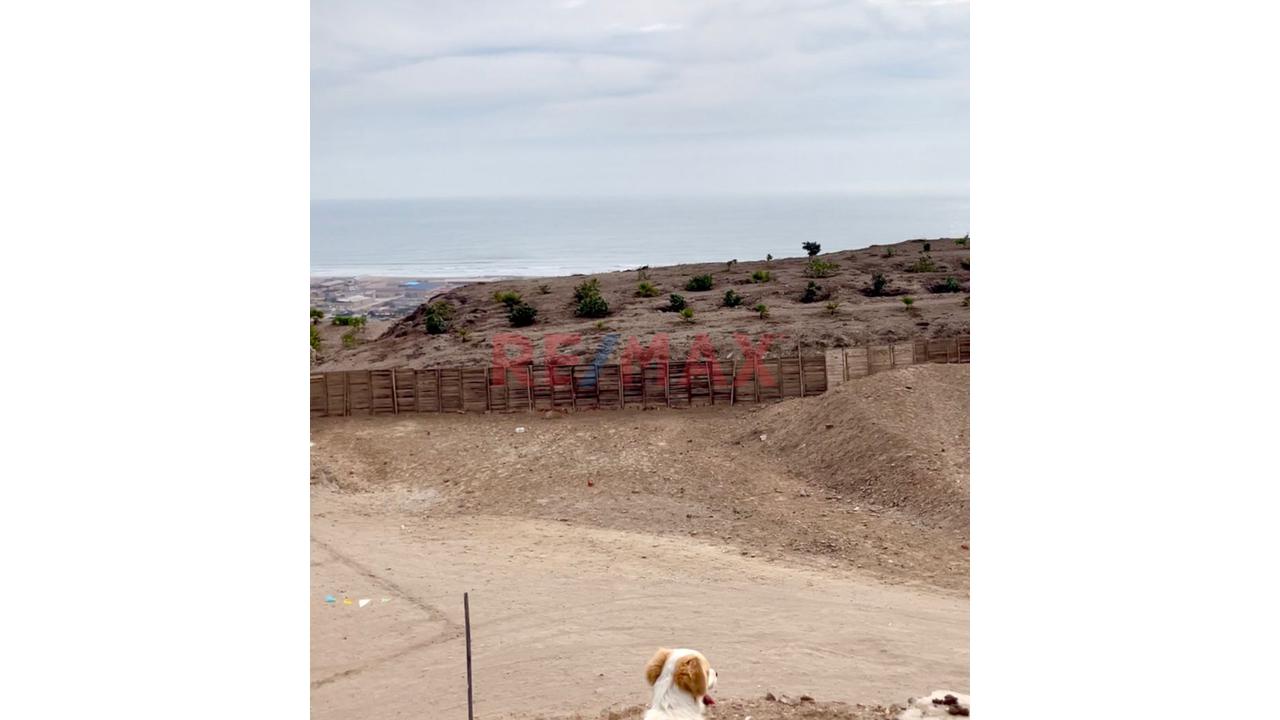 Se Vende Casa Como Terreno En Conj. Habit. El Mirador – Nuevo Pachacútec, Ventanilla — foto 3
