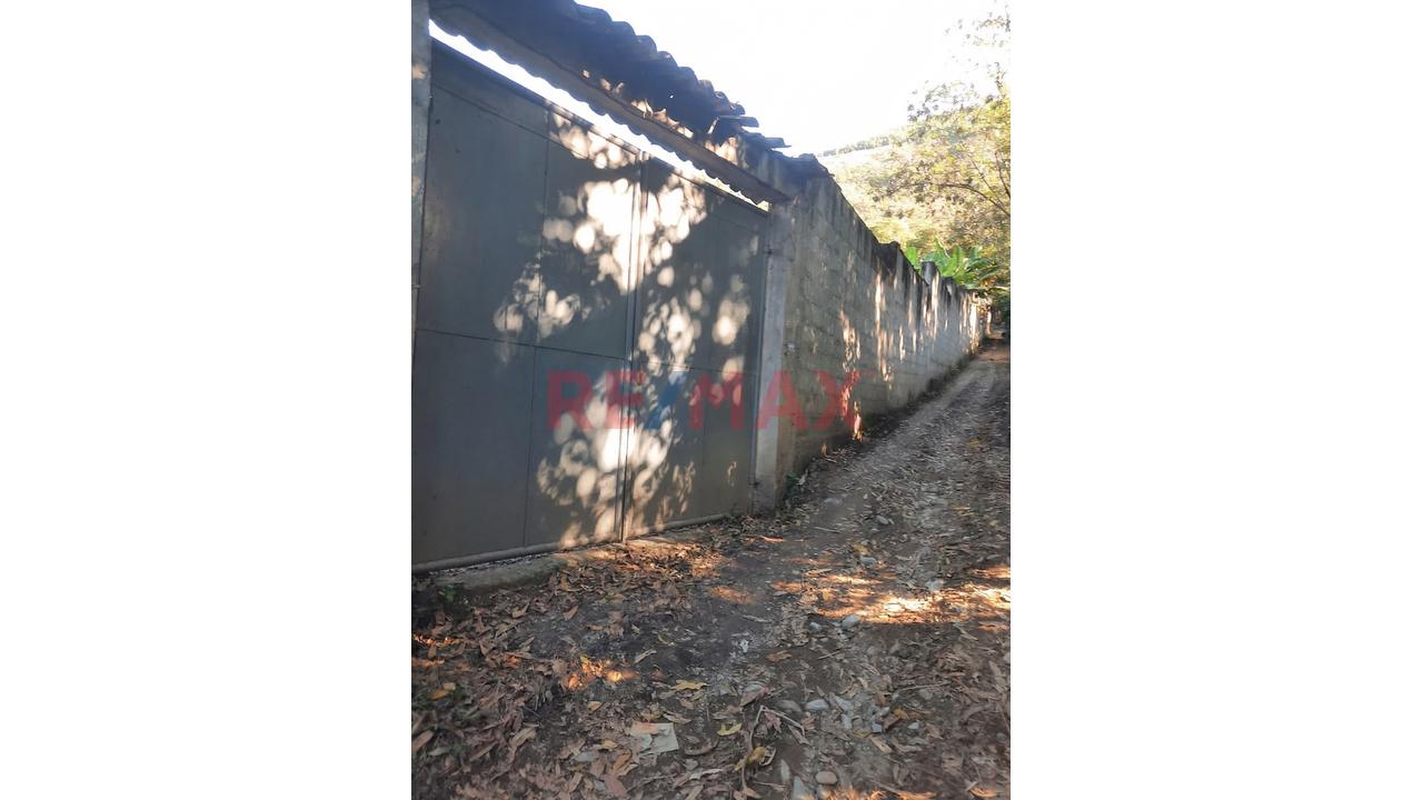 🌿 Venta De Terreno En Quillabamba – Ceja De Selva, Clima Cálido Todo El Año ☀️ - 2