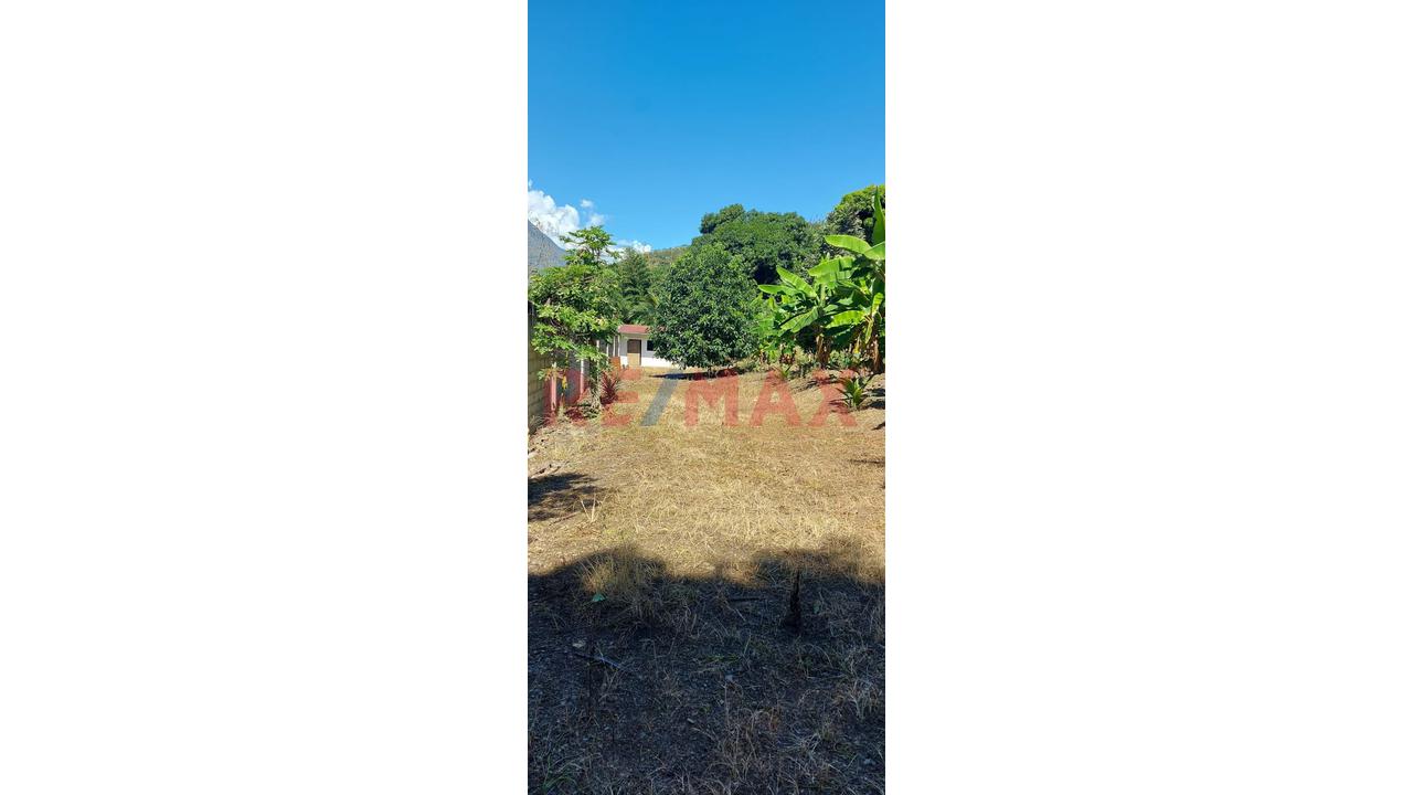 🌿 Venta De Terreno En Quillabamba – Ceja De Selva, Clima Cálido Todo El Año ☀️ - 3