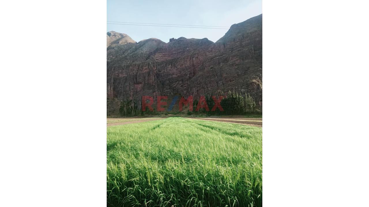 Donde El Turismo Se Convierte En Inversión Inteligente Valle Sagrado – Pachar | Camino A Ollantaytambo (Urubamba) - 6
