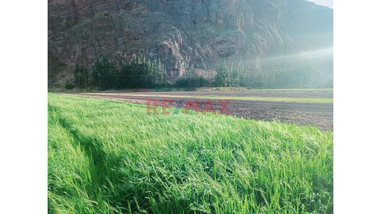 Donde El Turismo Se Convierte En Inversión Inteligente  Valle Sagrado – Pachar | Camino A Ollantaytambo (Urubamba) - 1