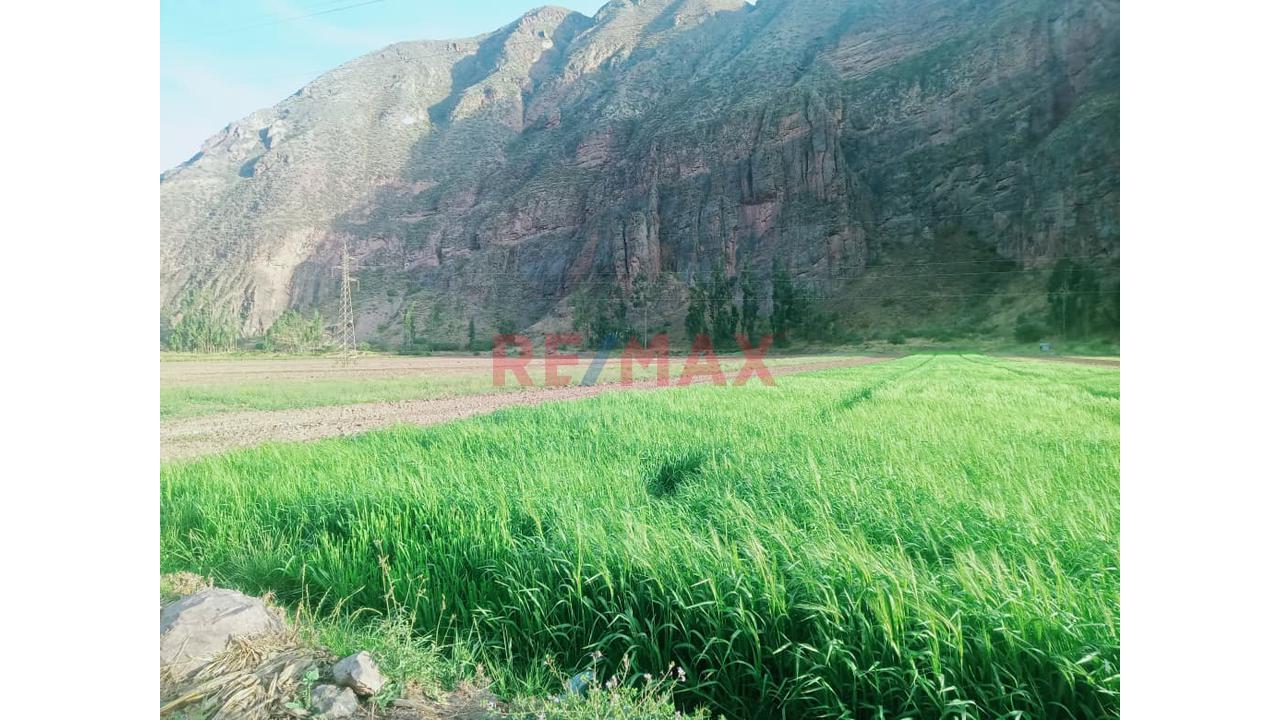 Donde El Turismo Se Convierte En Inversión Inteligente Valle Sagrado – Pachar | Camino A Ollantaytambo (Urubamba) - 3