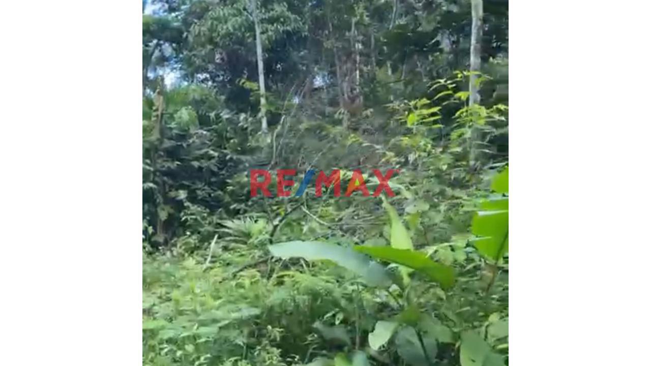 Se Vende Terreno Agricola En Maynas Iquitos - 1