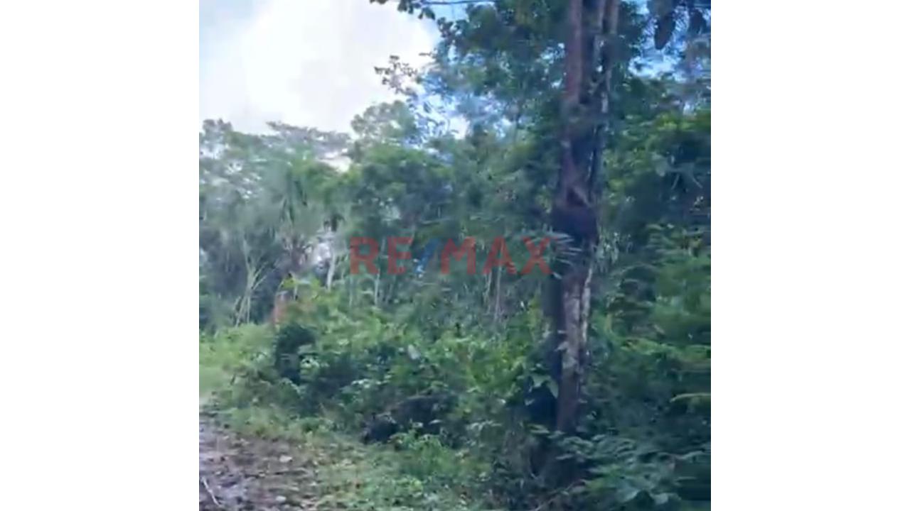 Se Vende Terreno Agricola En Maynas Iquitos - 3