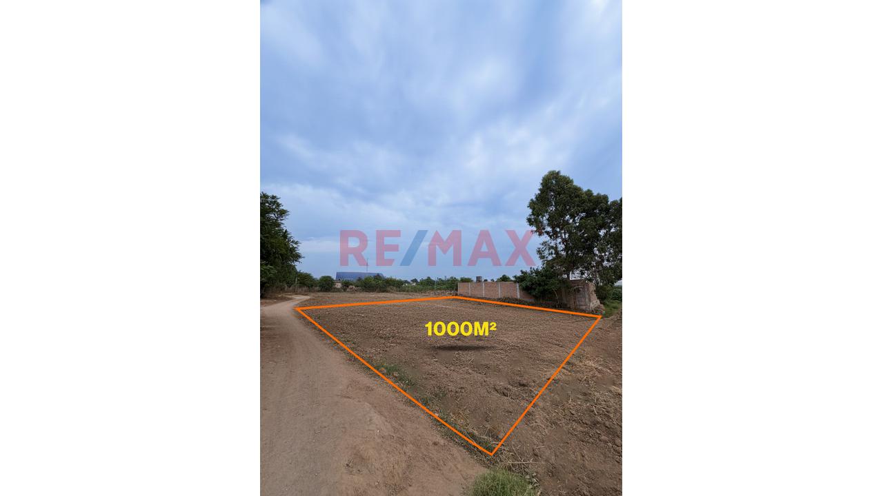 🚨 Amplio Terreno En Venta – 1,000 M2 En Virú, La Libertad 🌿🏡 - 2
