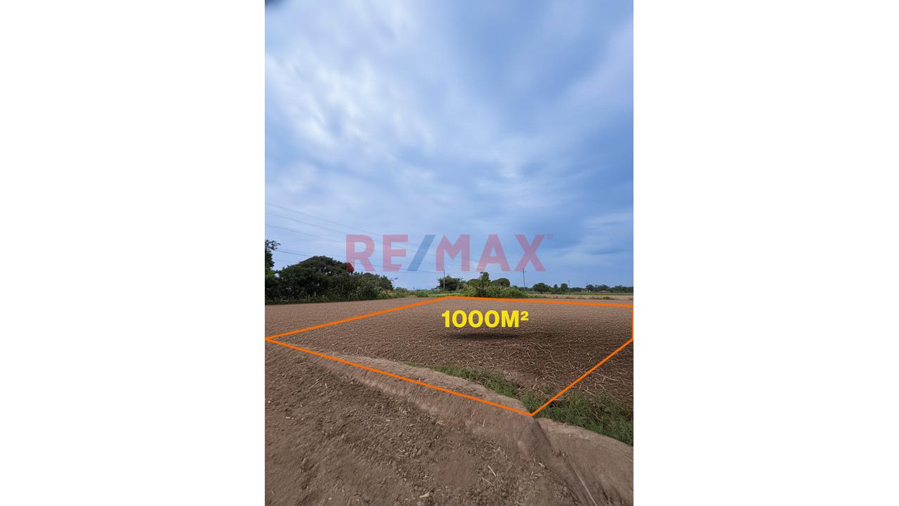 🚨 Amplio Terreno En Venta – 1,000 M2 En Virú, La Libertad 🌿🏡 - 3