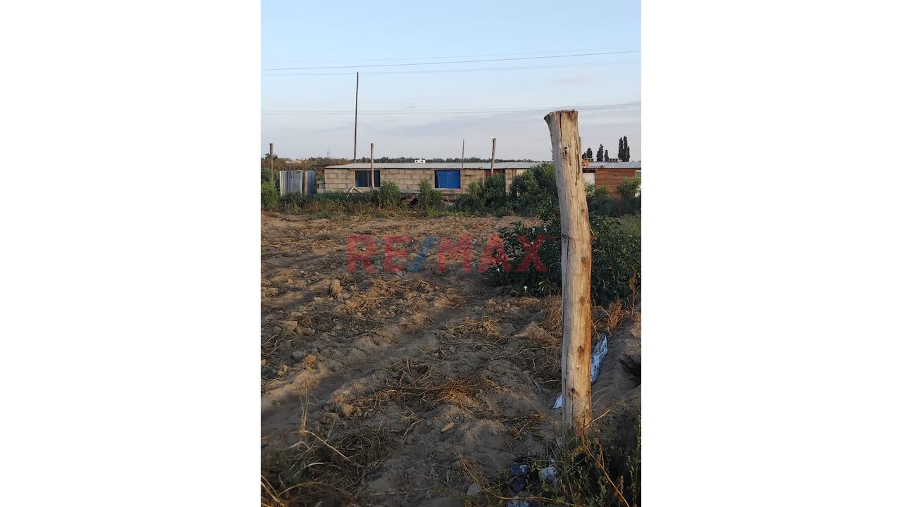 3,700 M² De Oportunidad Real En San Camilo, La Joya - 4