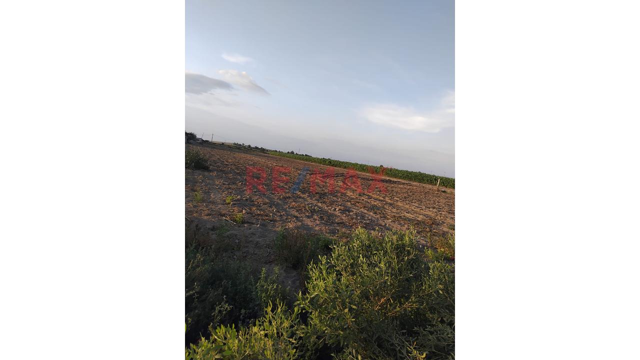 3,700 M² De Oportunidad Real En San Camilo, La Joya - 5